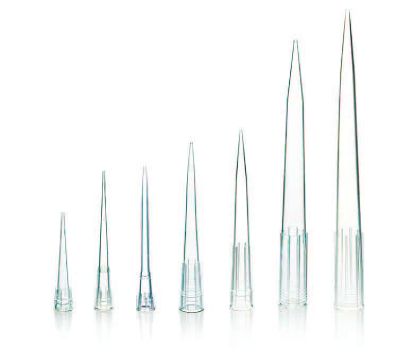 Picture of Globe Scientific Certified Low Retention Graduated Pipette Tips