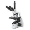 Picture of Euromex bScope® Compound Microscopes