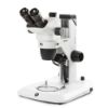 Picture of Euromex NexiusZoom EVO Stereo Microscopes