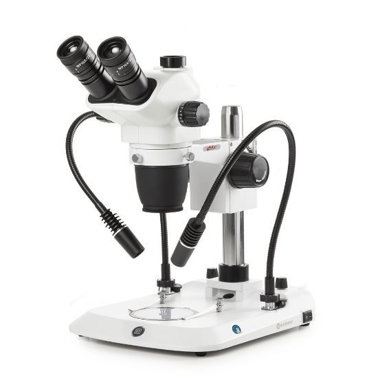 Picture of Euromex NexiusZoom EVO Stereo Microscopes - ENZ-1703-PG​