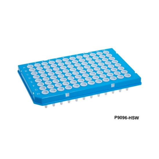 Picture of MTC Bio SureFrame™ Two-Component PCR Plates - P9096-HSW