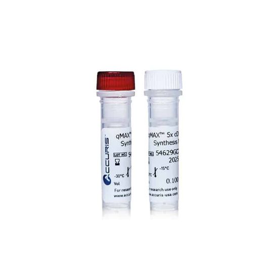 Picture of Accuris qMAX cDNA Synthesis Kits