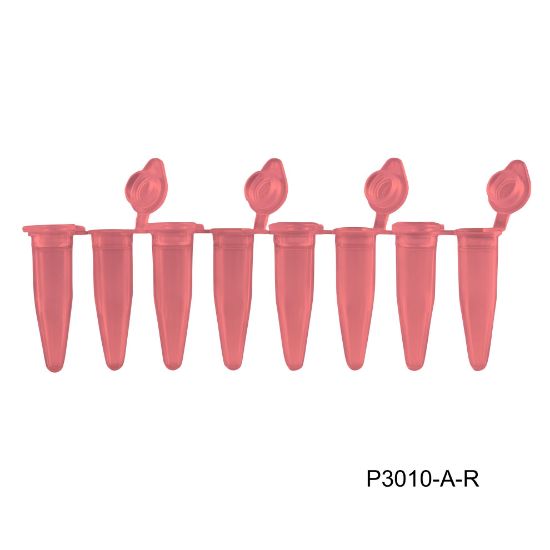 Picture of MTC Bio PureAmp™ PCR Tubes, Strips & Caps - P3010-A-R