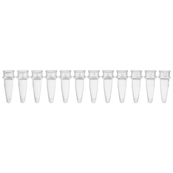 Picture of Globe Scientific Separate PCR Tube Strips & Caps Strips - PCR-02S-12